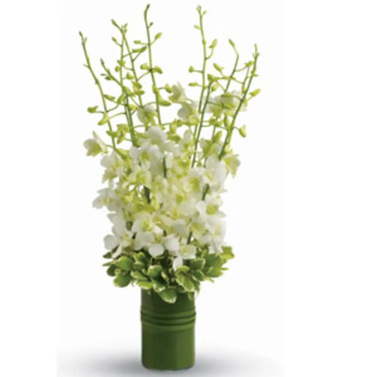 Absolute Serenity - OnlineGifts
