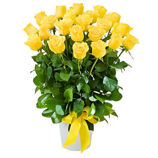 🌼 Charming 24 Yellow Roses in a Ceramic Pot – Fresh Cut Flower Arrangement in UAE - OnlineGifts