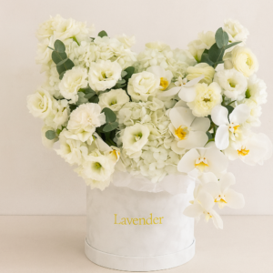 White-Orchid-and-Hydrangea-Basket-Luxury-Gift-UAE