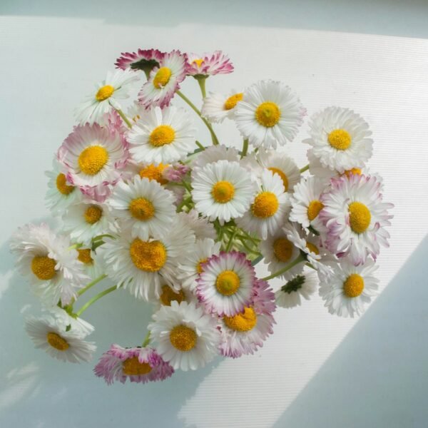 Fresh Flower Arrangements