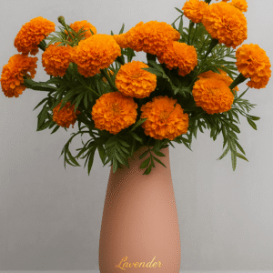 Elegant Marigold Long Stem Arrangement | 19 Fresh Marigold Stems in Porcelain Pot
