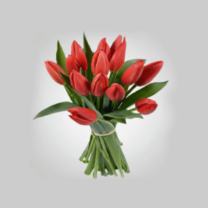 Same-Day Flower Delivery UAE 14 Red Tulips Bouquet Raffia Wrap