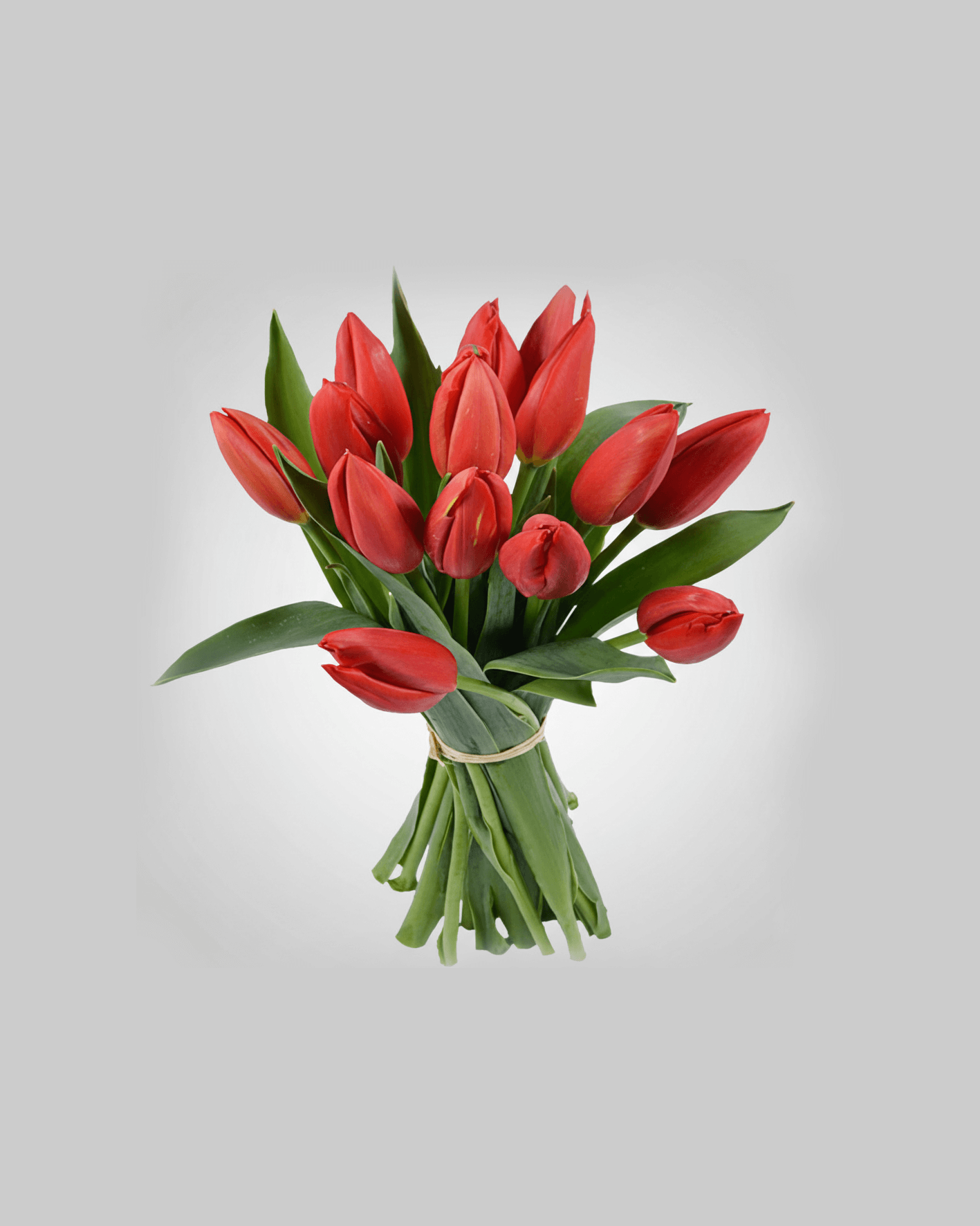 Same-Day Flower Delivery UAE 14 Red Tulips Bouquet Raffia Wrap